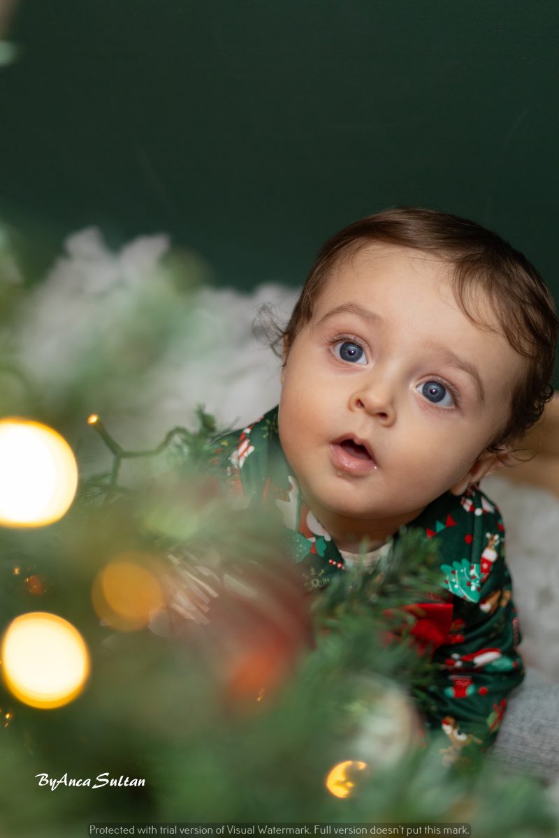 Sedinta foto tematica